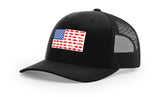 Freshwater Fish American Flag - Hat Patch